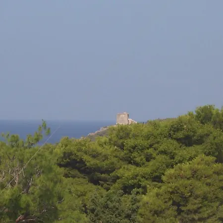 Bellavista Palombaro ナルド